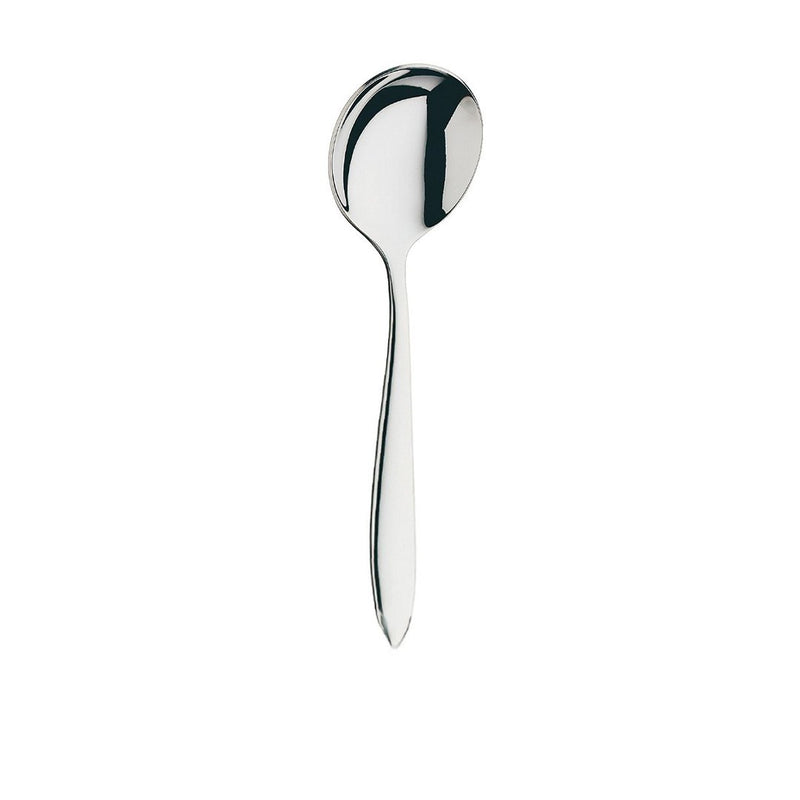Stainless Steel Soup Spoon Set (12 Pcs)